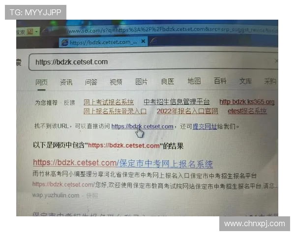 新普京网页版登录网址官方入口指南，详细介绍登录流程与注意事项