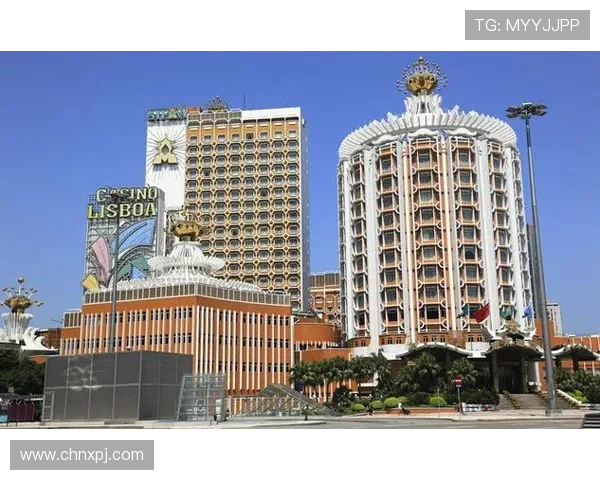 深入了解澳门葡京集团官网的历史背景、品牌优势及未来发展规划