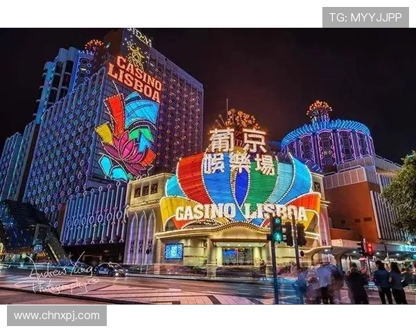 官方授权葡京娱乐官网入口入口，保障玩家资金安全与游戏体验