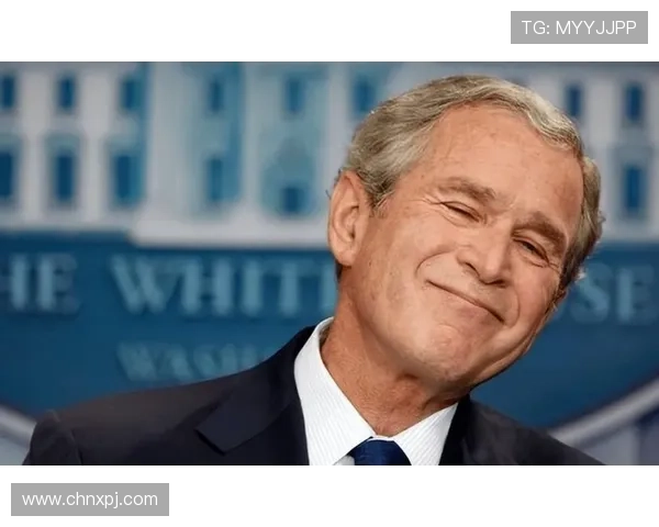 新普京真人版会员注册流程完整解析，确保用户顺利完成账号创建与登录体验