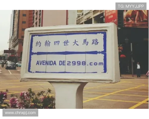 澳门新普京娱乐城全面解析：最新优惠活动与安全保障措施详尽介绍