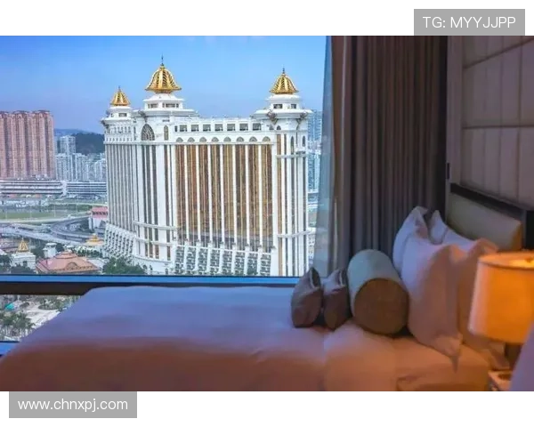 澳门新葡京国际娱乐：体验世界级的娱乐设施与专业的服务团队带来的尊贵体验