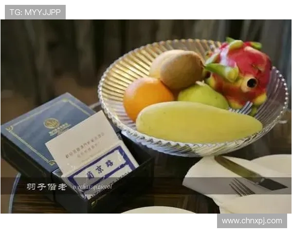 澳门新葡京官网地址最新入口提供详细指南帮助玩家顺利登录体验