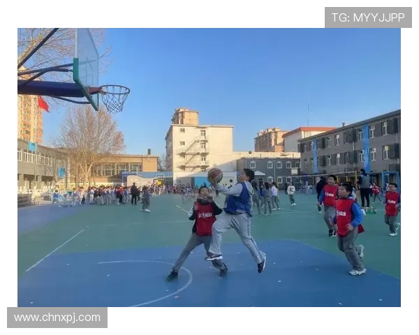 快速下载安装爱游戏中国体育中国体育app获取丰富的体育视频资源