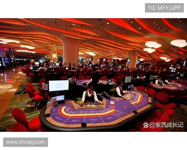 澳门赌场官方平台安全可靠，保障玩家资金与信息安全的最佳选择