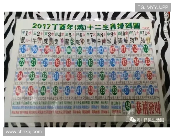 六合彩集团官网安全可靠平台推荐，保障您的资金安全与购彩体验