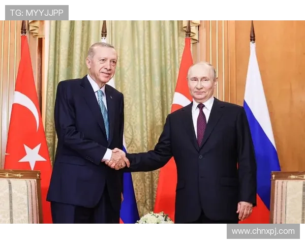 新普京平台官网下载最新版本，提供多平台支持和详细安装步骤，满足不同用户需求